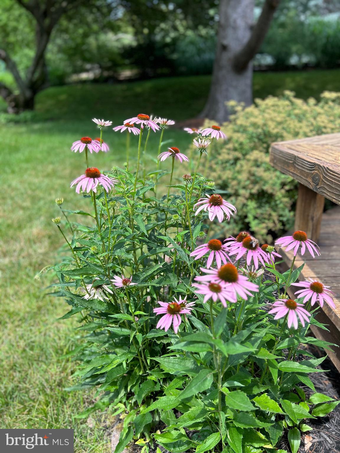 9324 Dunloggin Road Ellicott City, MD 21042 - Photo 43 of 49