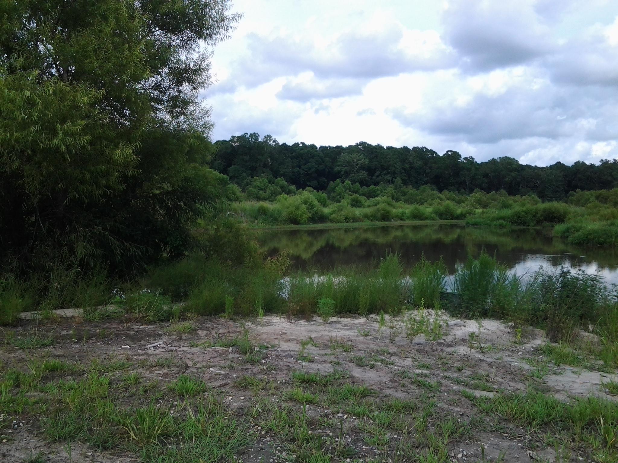 7338 Peirce Road Ridgeville, SC 29472 - Photo 2 of 6 20140722_170115