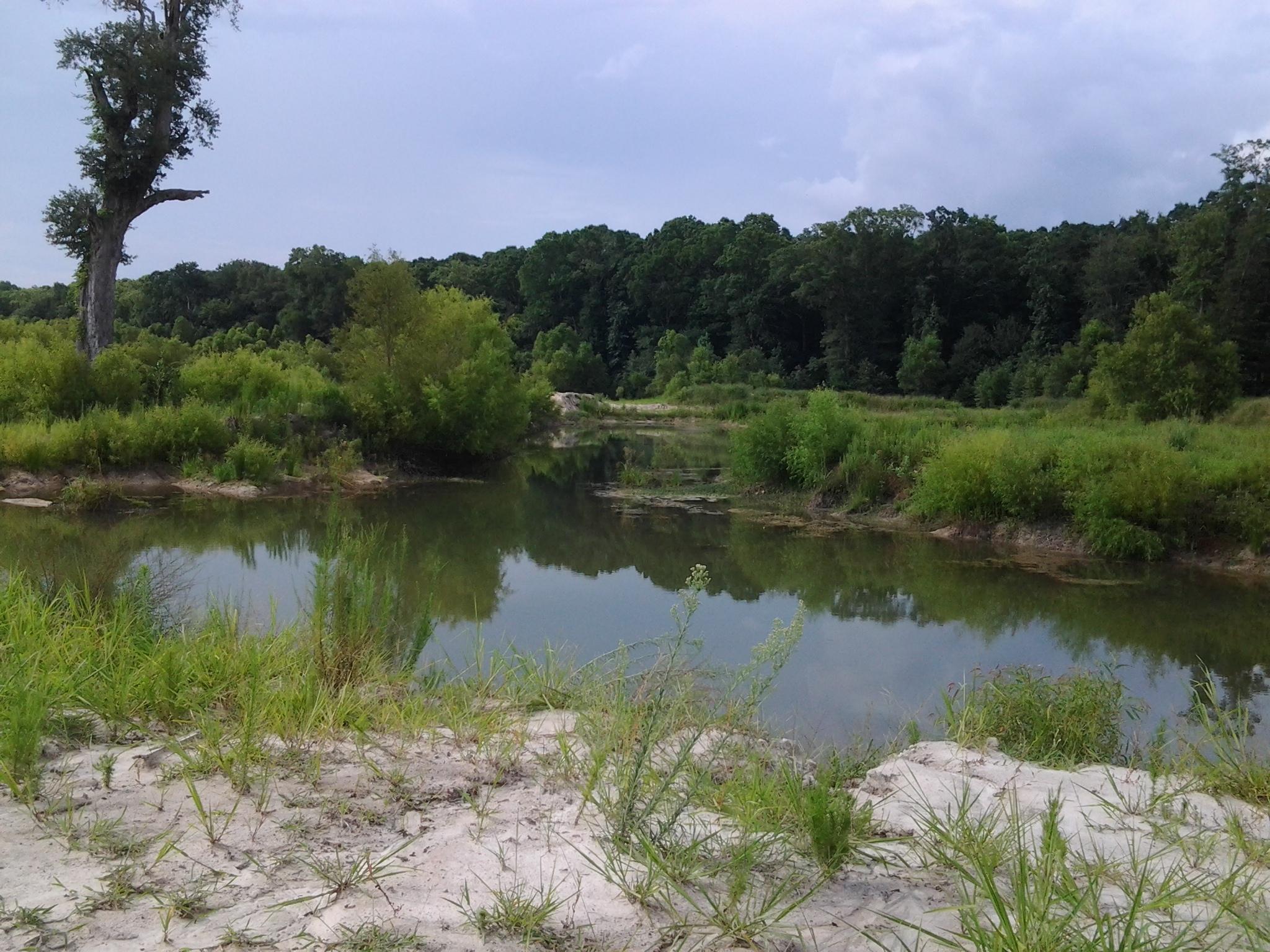 7338 Peirce Road Ridgeville, SC 29472 - Photo 4 of 6 20140722_170307