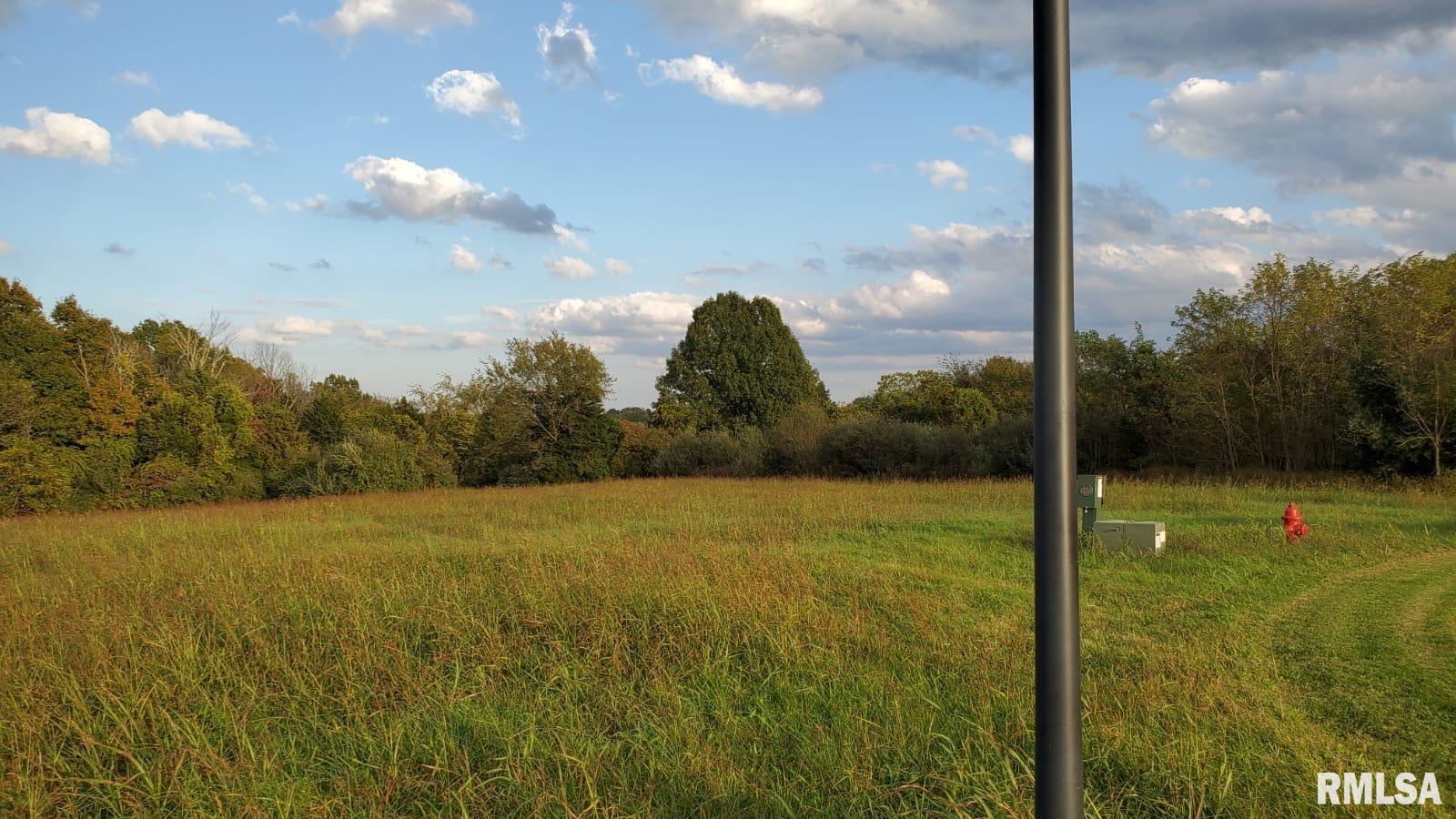 0 Bogey Lane Makanda, IL 62958 - Photo 4 of 7