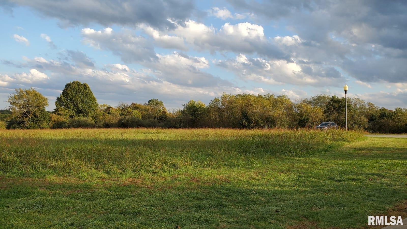 0 Bogey Lane Makanda, IL 62958 - Photo 5 of 7