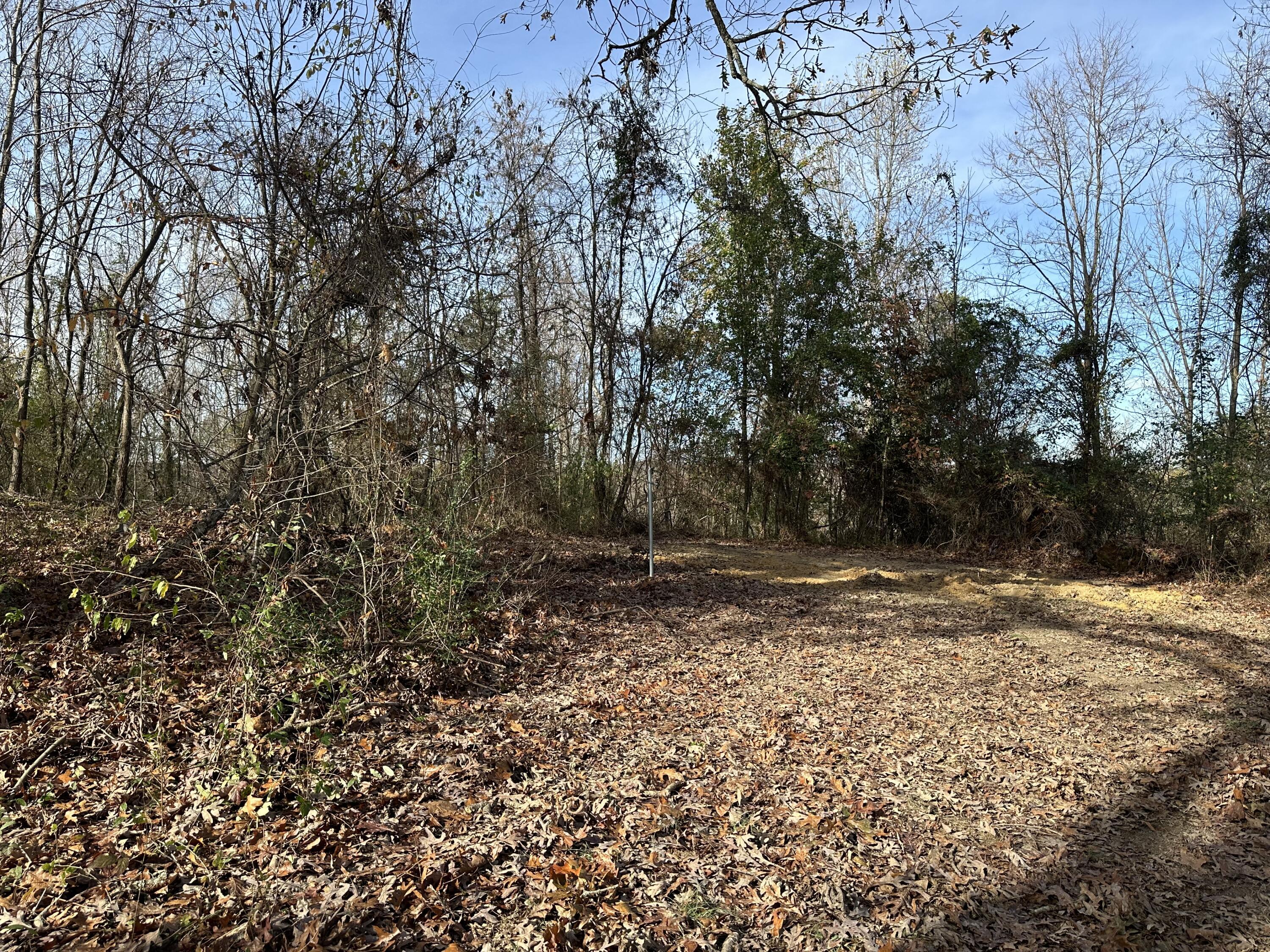 41 Belle Point Road Beattyville, KY 41311 - Photo 22 of 29 IMG_0149