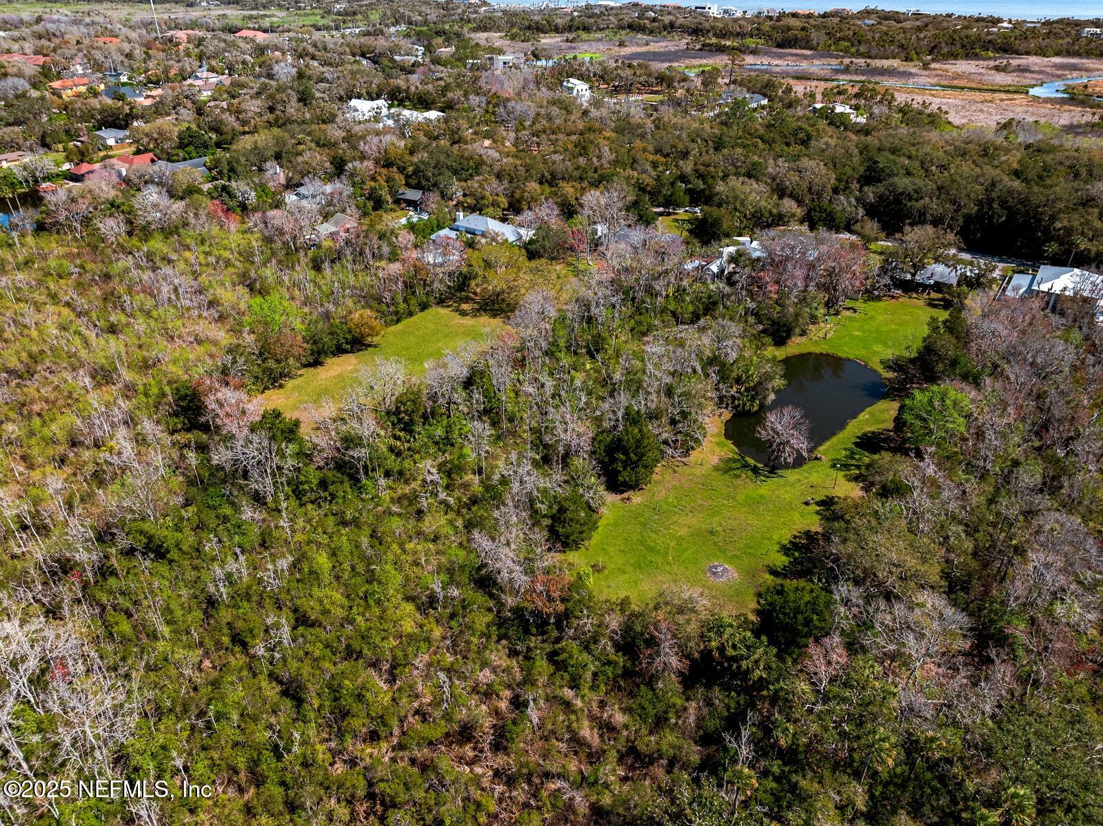 1153 Neck Road Ponte Vedra Beach, FL 32082 - Photo 90 of 91 1153 Neck Rd_32082-70 aerial view ocean)