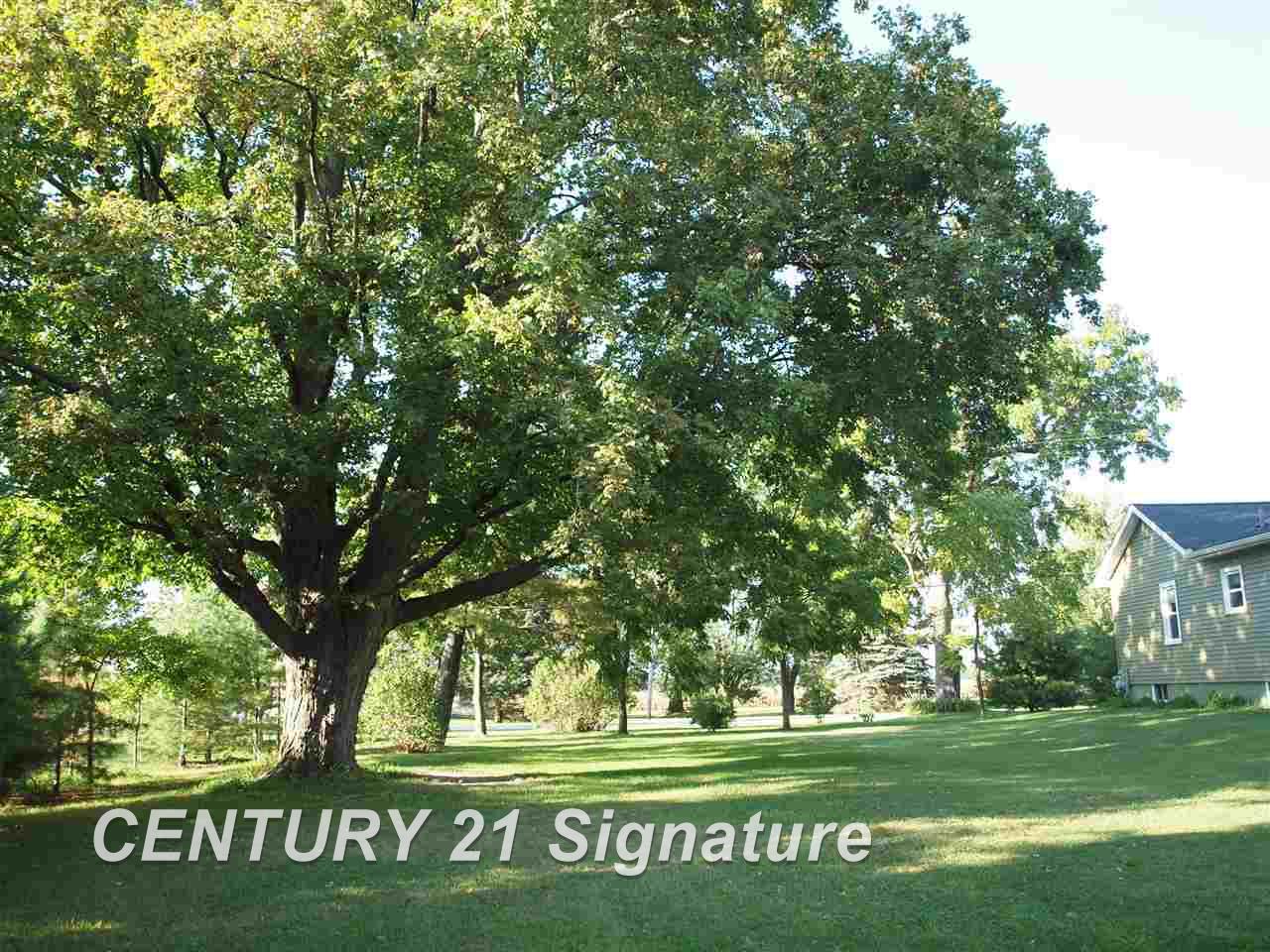 12281 West Mt Morris Road Flushing, MI 48433 - Photo 8 of 39 Gallery Image 8