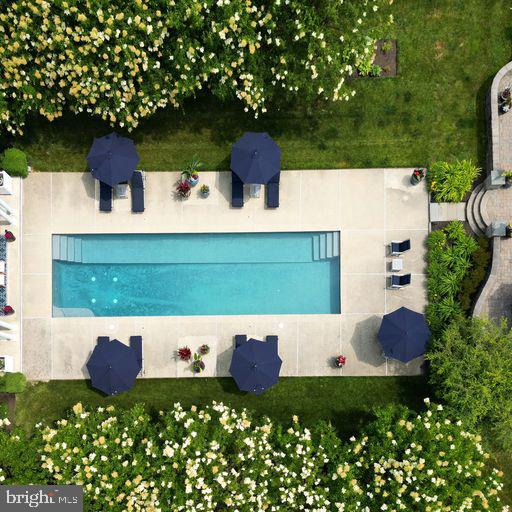 6893 Sladek Road New Hope, PA 18938 - Photo 52 of 53 Pool