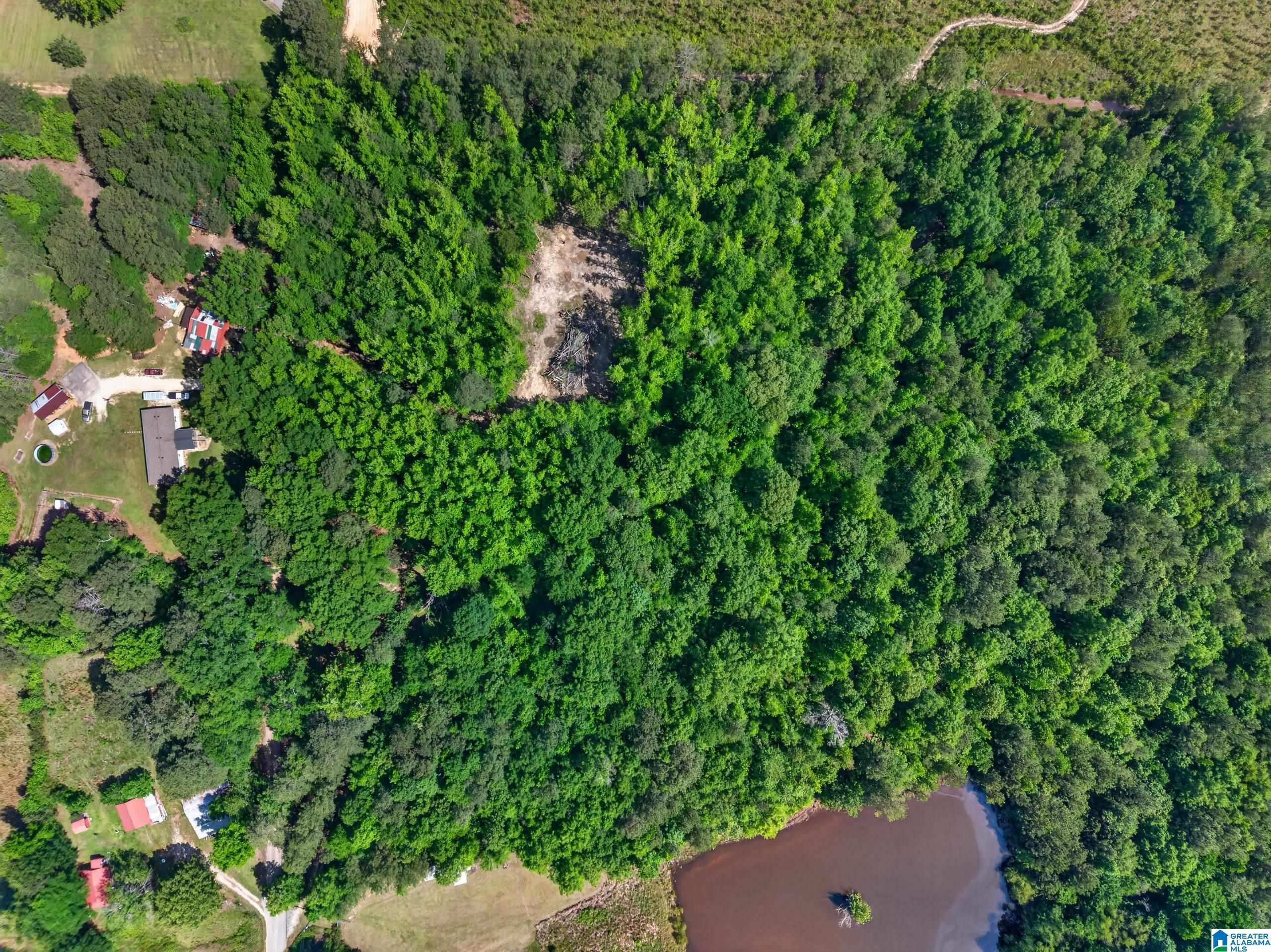0 Pruitt Road Piedmont, AL 36272 - Photo 3 of 13
