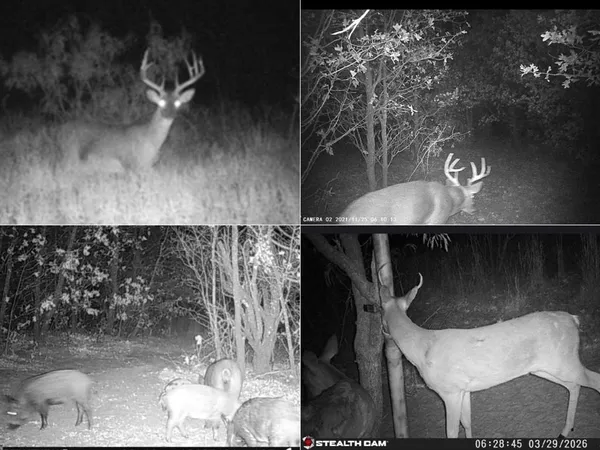 $750,000 | 8378 County Road 358, Anson, TX 79501