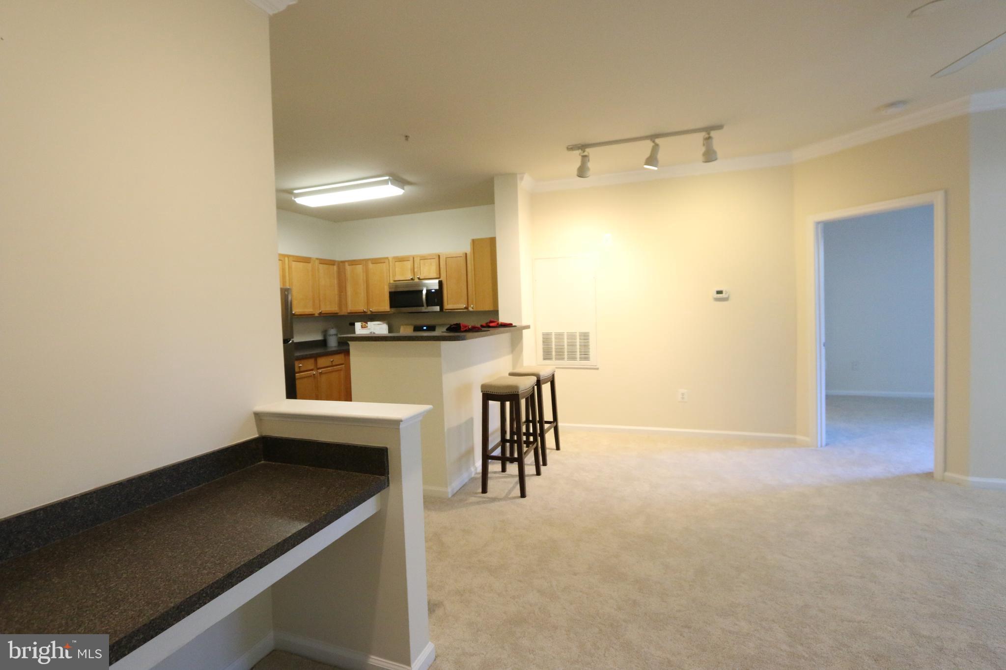 12000 Market Street, Unit 137 Reston, VA 20190 - Photo 13 of 55 Gallery Image 13