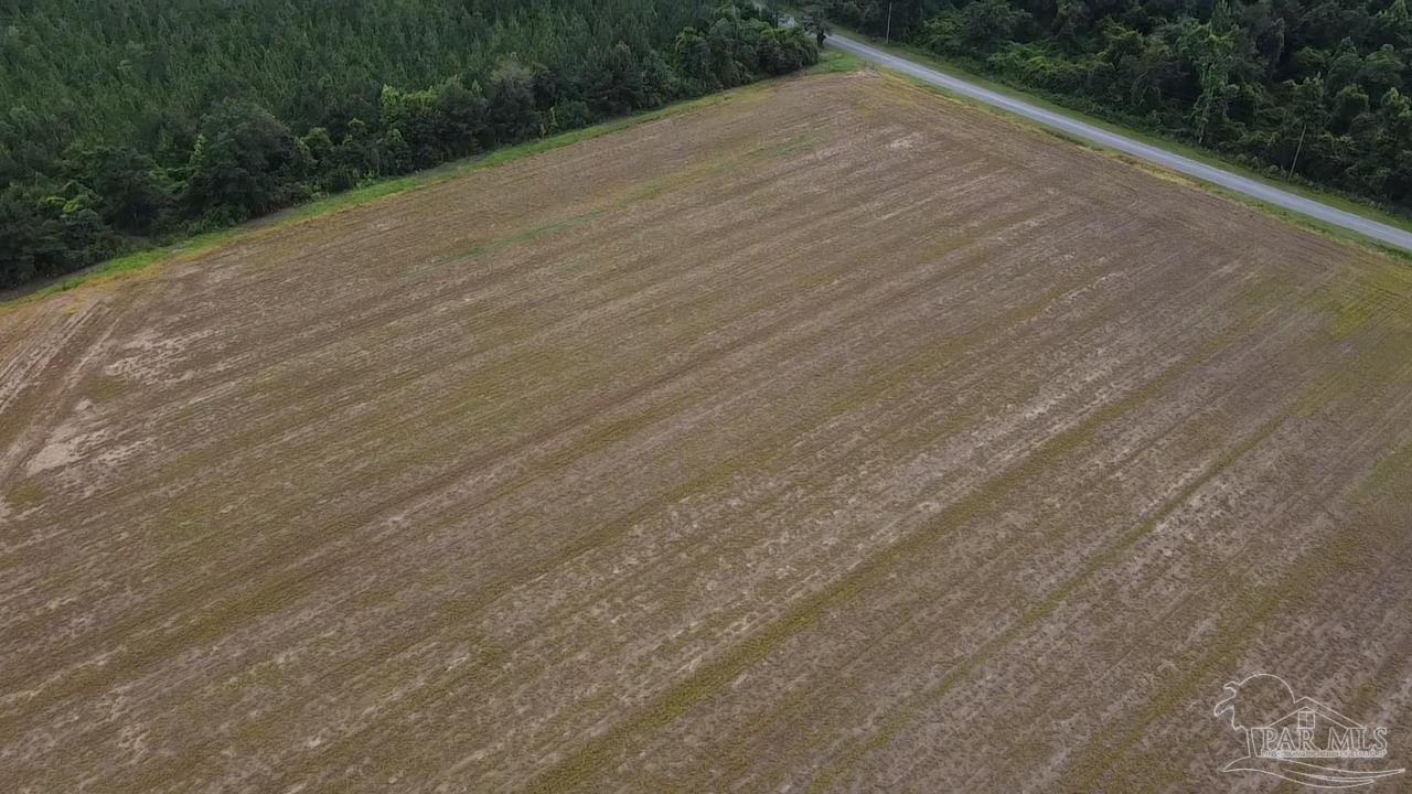 7600 Bratt Road Century, FL 32535 - Photo 16 of 41