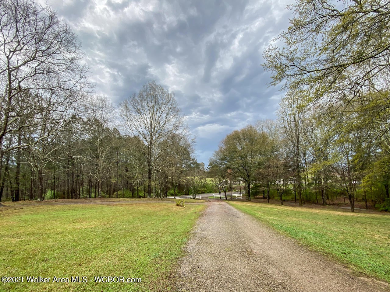 787 Golf Road Jasper, AL 35504 - Photo 20 of 24 Gallery Image 20