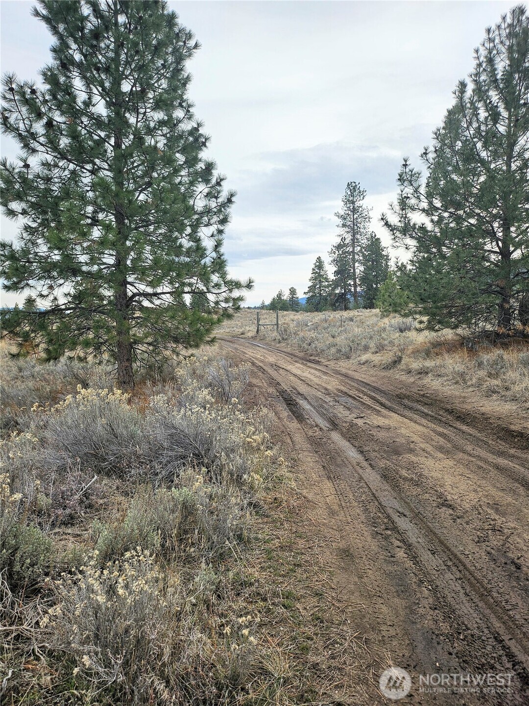 1 Badger Road Tonasket, WA 98855 - Photo 12 of 12 a view of a yard and trees