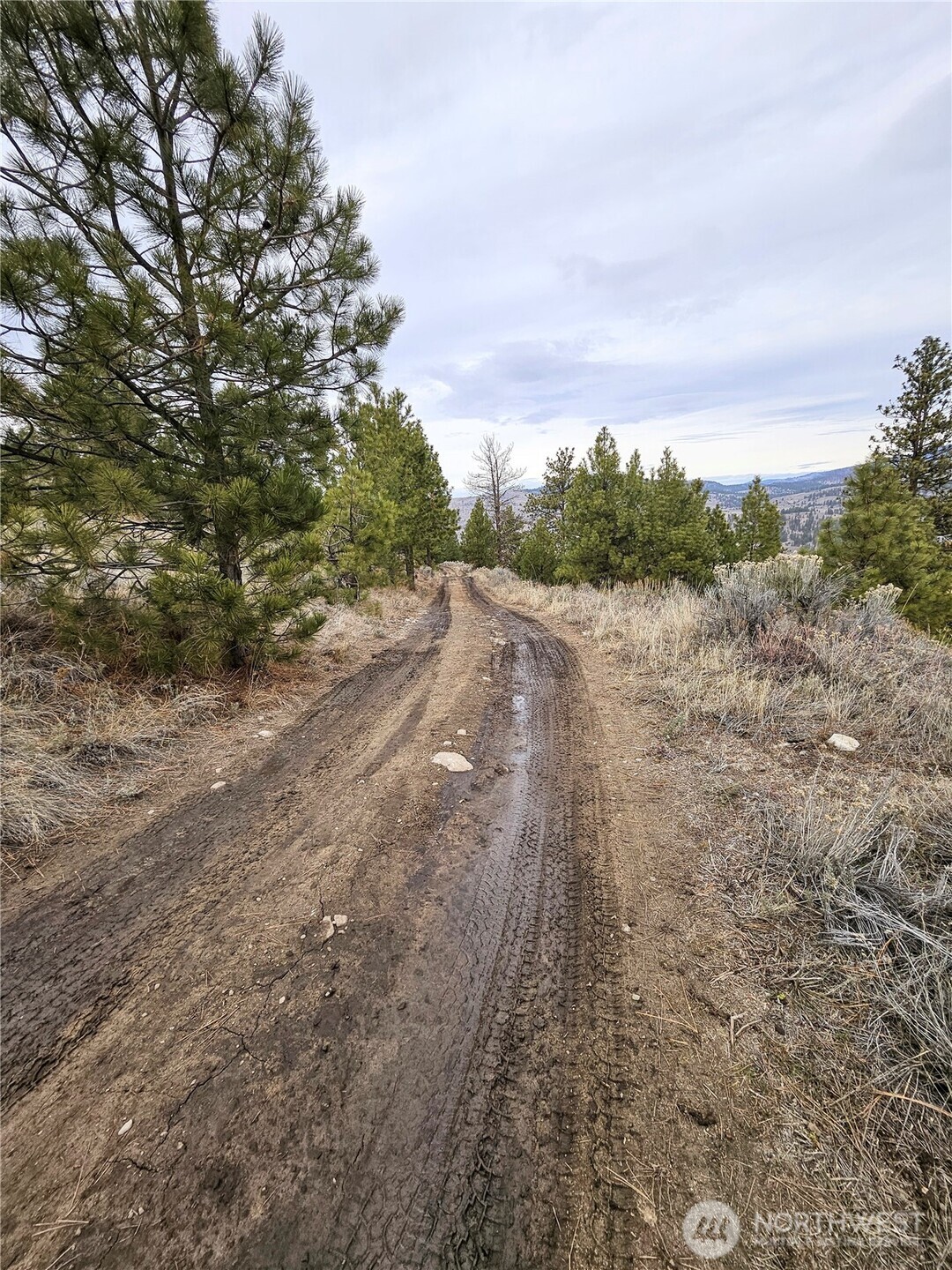 1 Badger Road Tonasket, WA 98855 - Photo 9 of 12 a view of a road with a yard