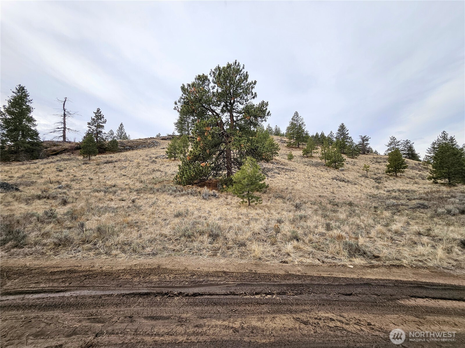 1 Badger Road Tonasket, WA 98855 - Photo 10 of 12 a view of a dry yard with wooden fence