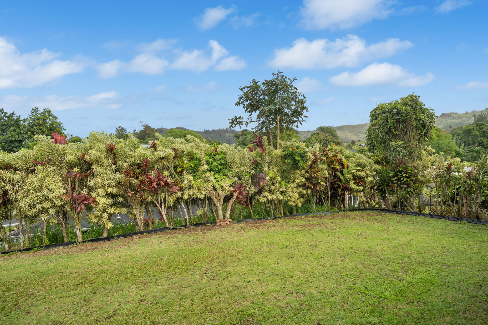 4439 Punee Road Koloa, HI 96756 - Photo 25 of 30 a view of outdoor space with mountain view