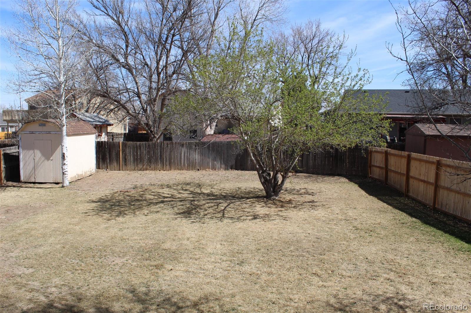 138 48th Avenue Greeley, CO 80634 - Photo 27 of 29 a backyard of a house with lots of green space