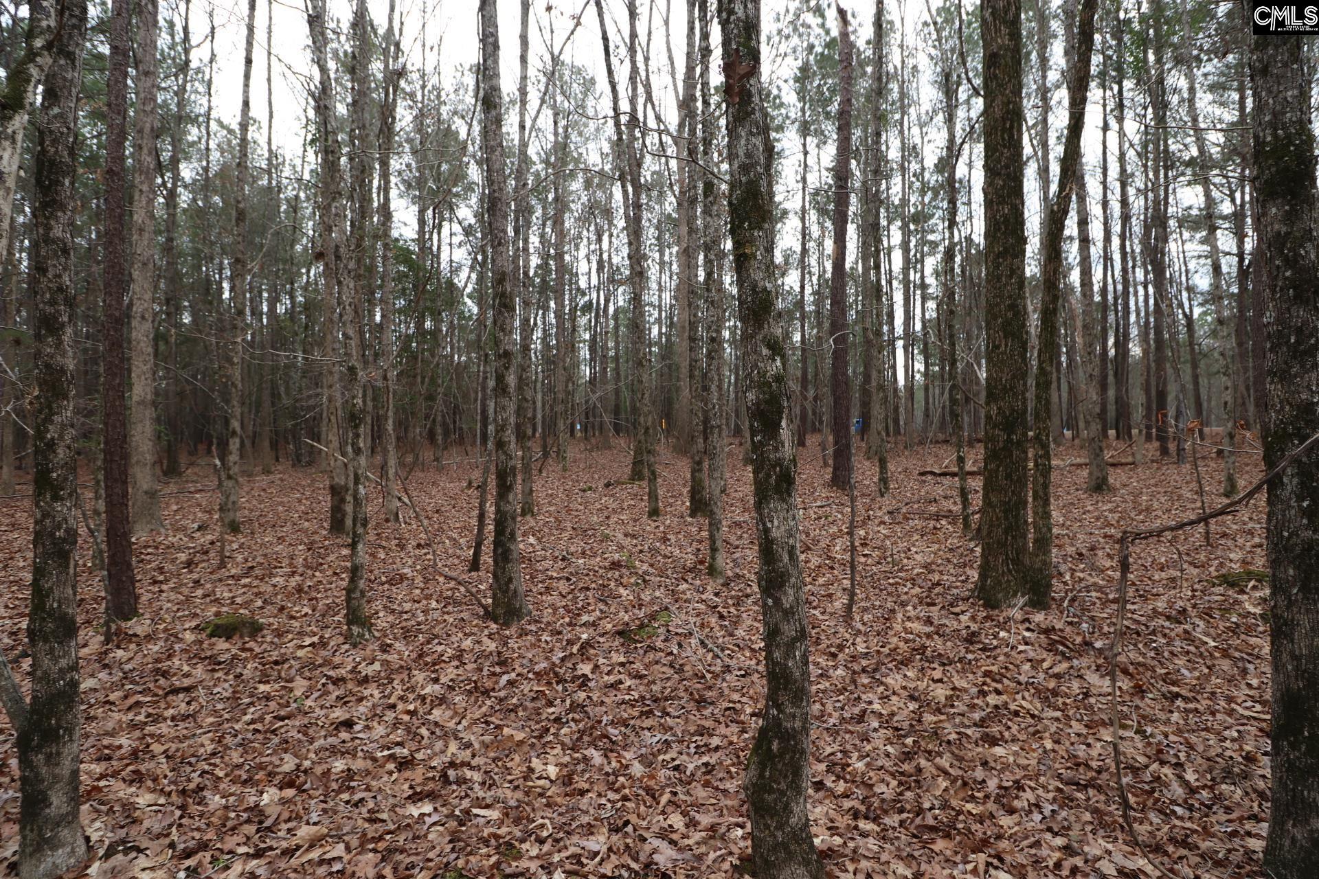 Lot 229 Granny Hill Road Prosperity, SC 29127 - Photo 57 of 61