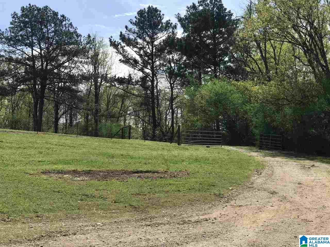 1241 Reneau Road Oneonta, AL 35121 - Photo 45 of 50