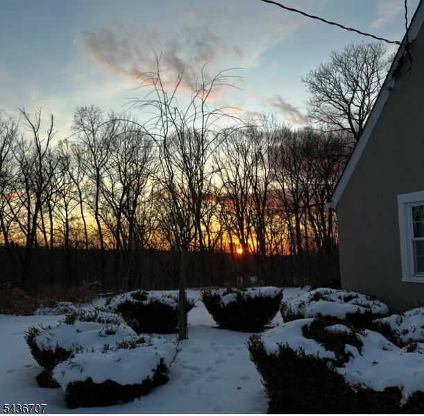 373 Green Road Sparta, NJ 07871 - Photo 39 of 40