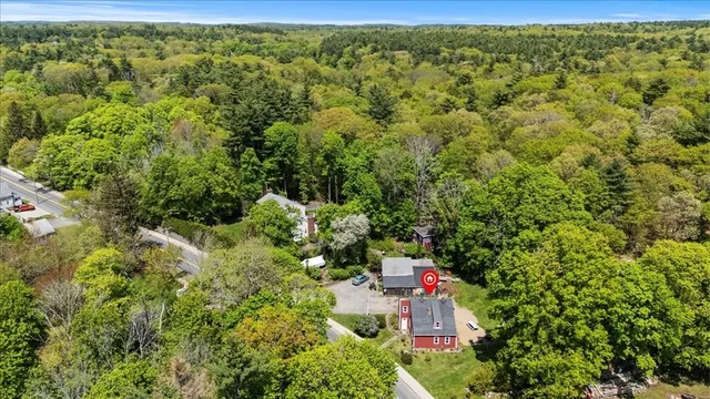 a view of a yard with plants