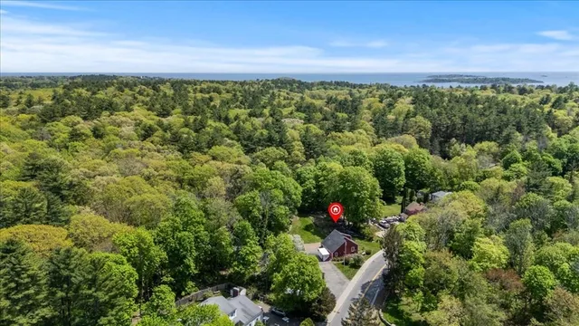 a view of a bunch of plants and trees