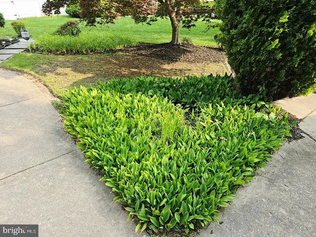 $650,000 | 5000 Leah Court, Suitland, MD 20746