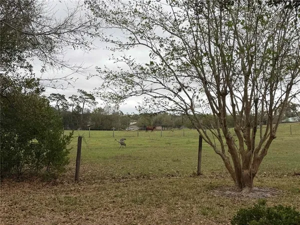 a view of a field