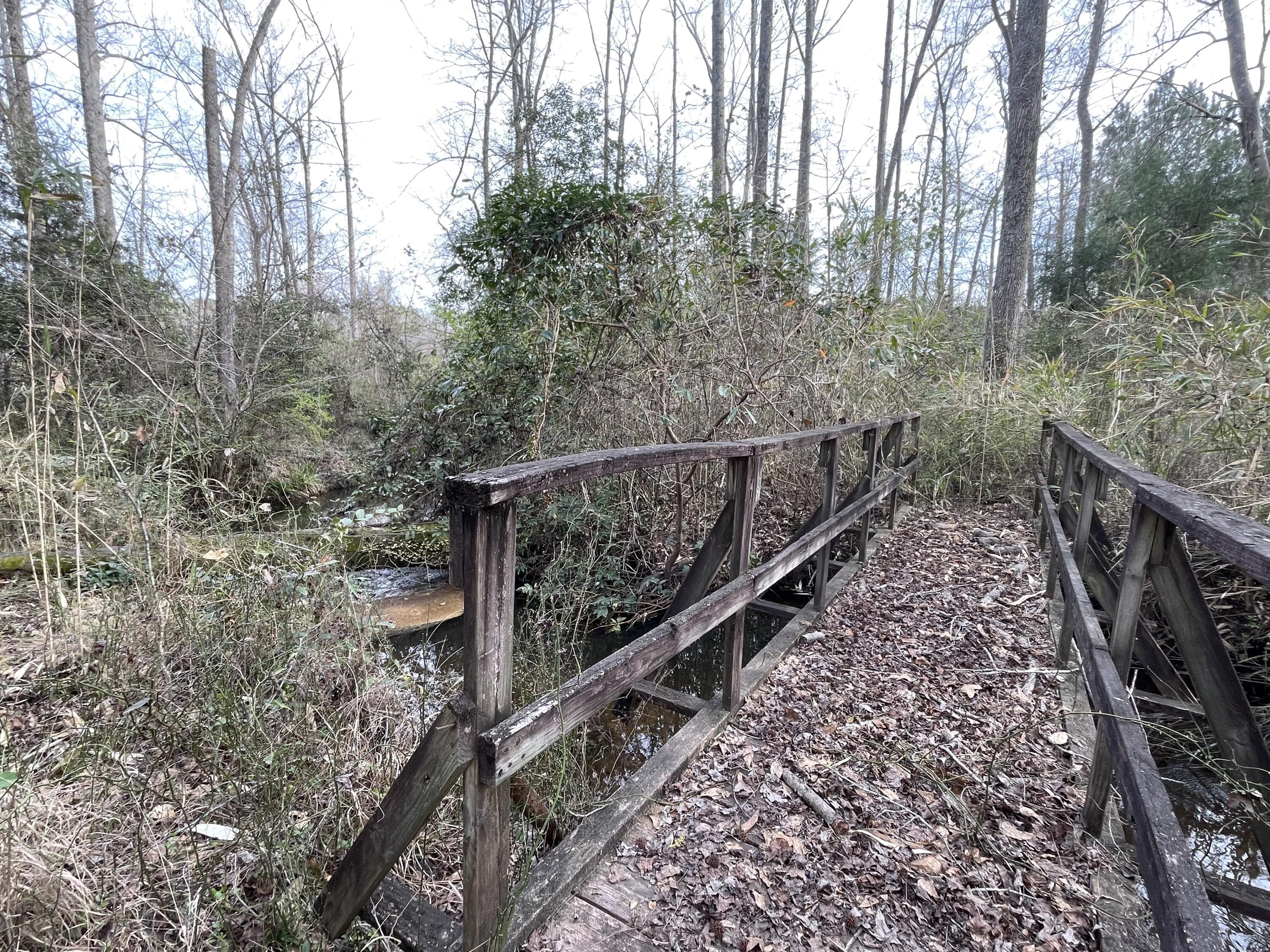 324 Girl Scout Camp Road Trenton, SC 29847 - Photo 24 of 26