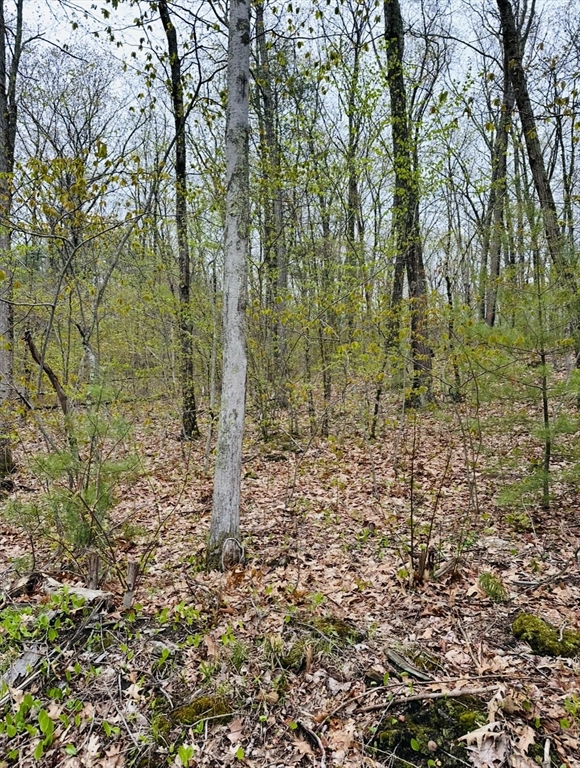 48 Mill Road North Brookfield, MA 01535 - Photo 2 of 4 a view of a garden