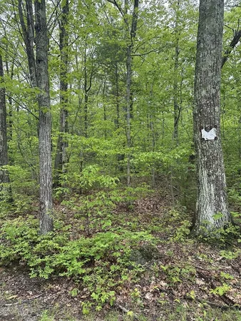 $69,900 | 48 Mill Road, North Brookfield, MA 01535