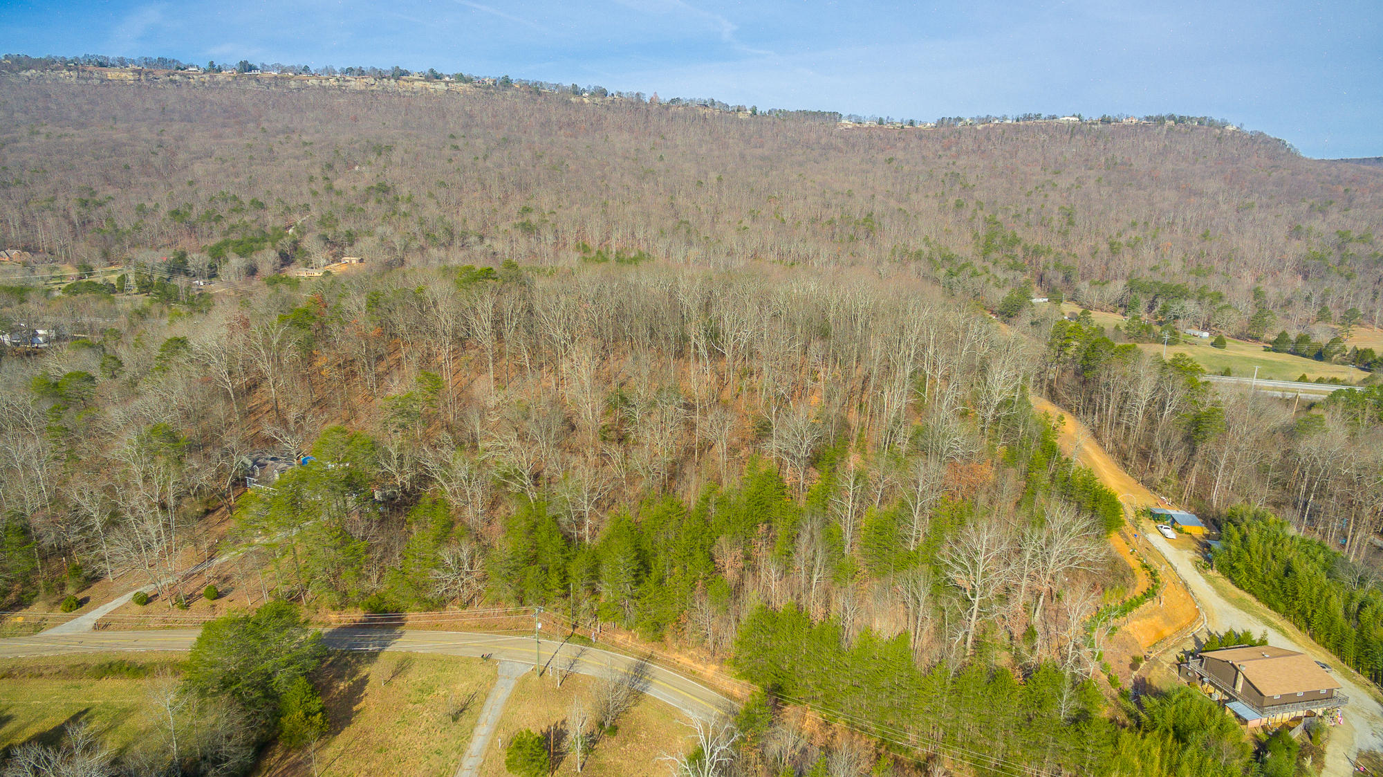 6012 Levi Road Chattanooga, TN 37415 - Photo 6 of 6 9 +/- Acres out of the total acreage