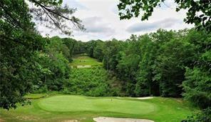3461 Wild Pansy Ridge Big Canoe, GA 30143 - Photo 14 of 24 a view of a garden