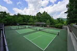 3461 Wild Pansy Ridge Big Canoe, GA 30143 - Photo 17 of 24 a view of a tennis court