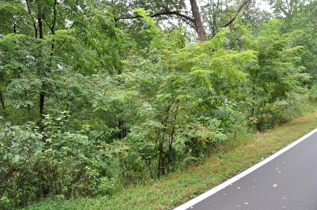 3461 Wild Pansy Ridge Big Canoe, GA 30143 - Photo 2 of 24 a view of a green field with lots of bushes
