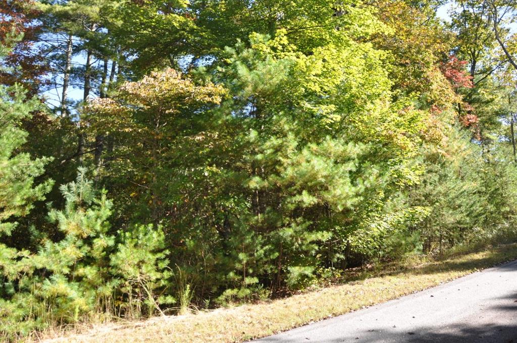 3461 Wild Pansy Ridge Big Canoe, GA 30143 - Photo 5 of 24 a view of a yard with a tree