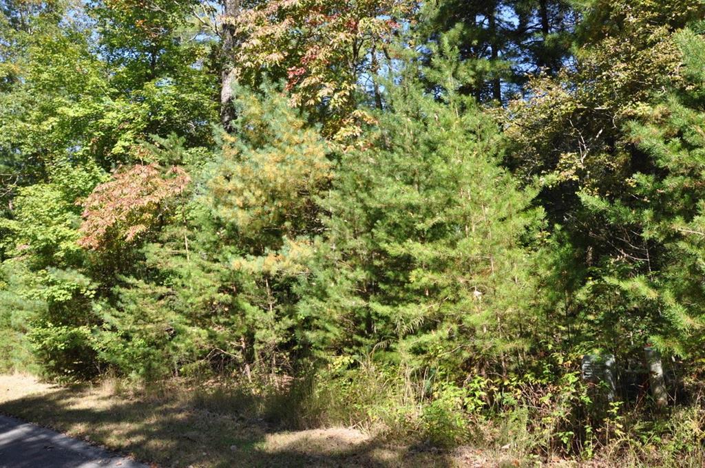 3461 Wild Pansy Ridge Big Canoe, GA 30143 - Photo 8 of 24 a view of a tree
