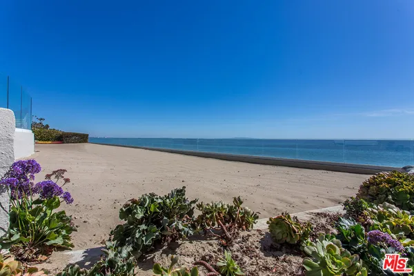 a view of lake with a palm tree