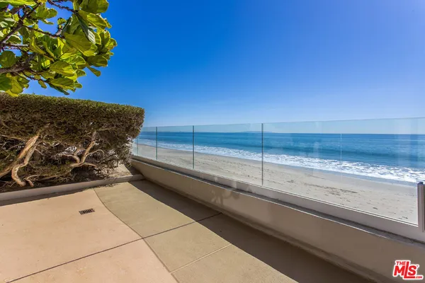 a plant with a window