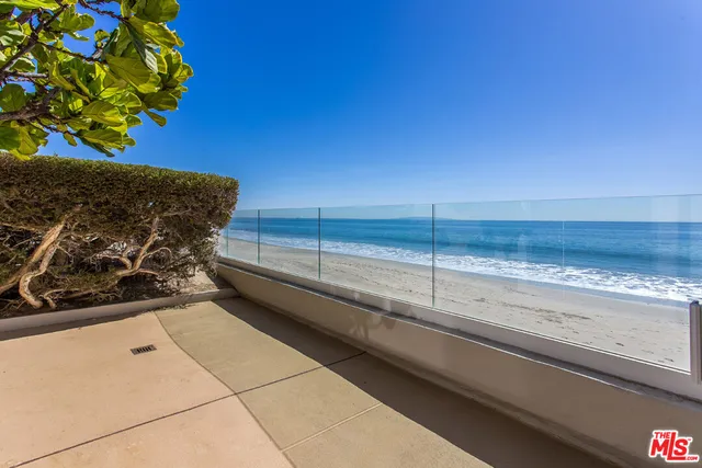 a plant with a window