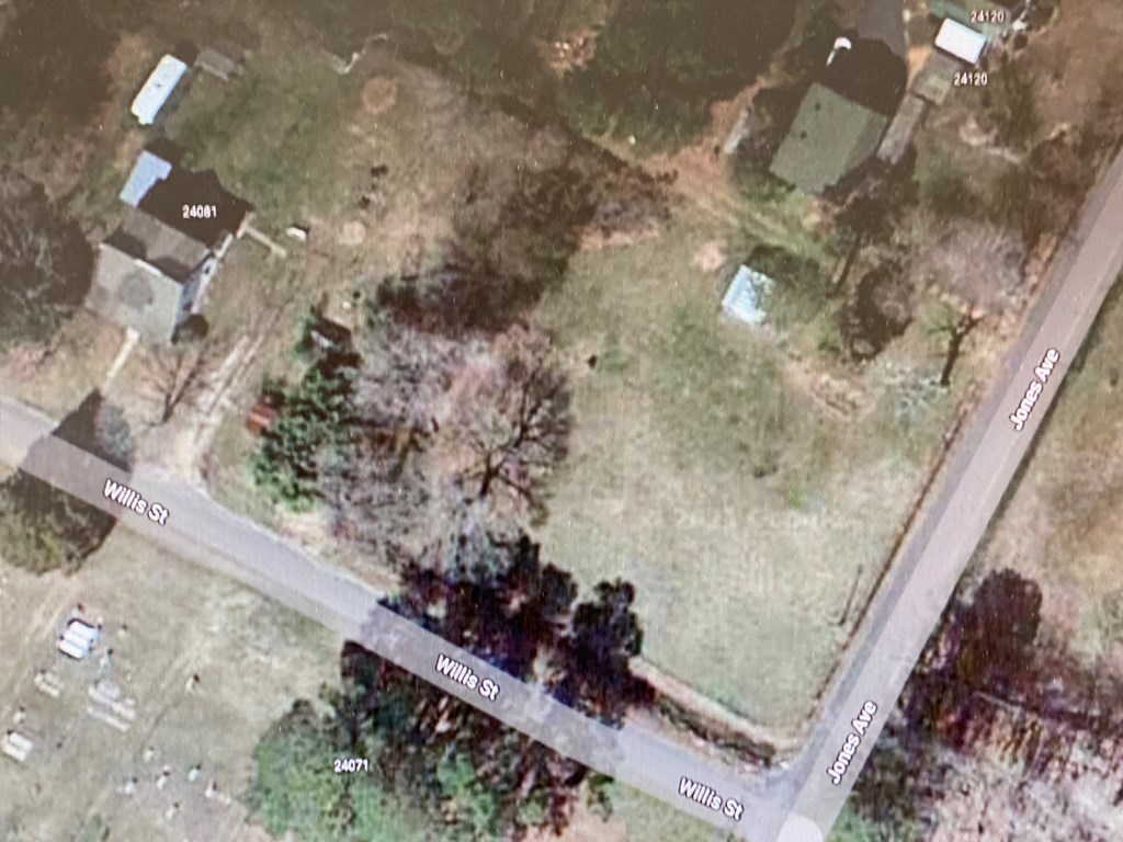 0 Jones Avenue, Unit 554 Parksley, VA 23421 - Photo 2 of 2