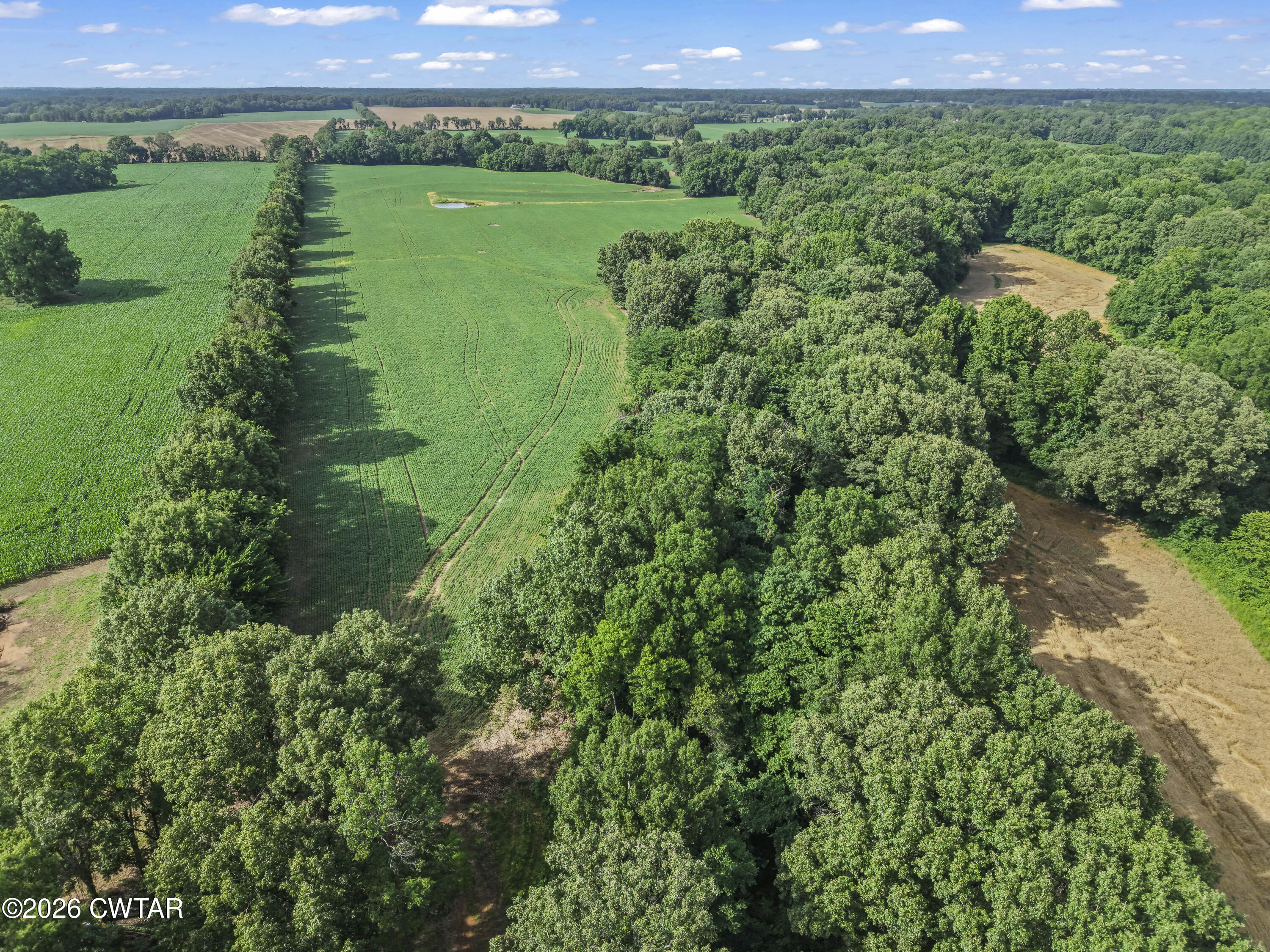 0 Old Jackson Road Gadsden, TN 38337 - Photo 10 of 23 DJI_20260608165959_0616_D