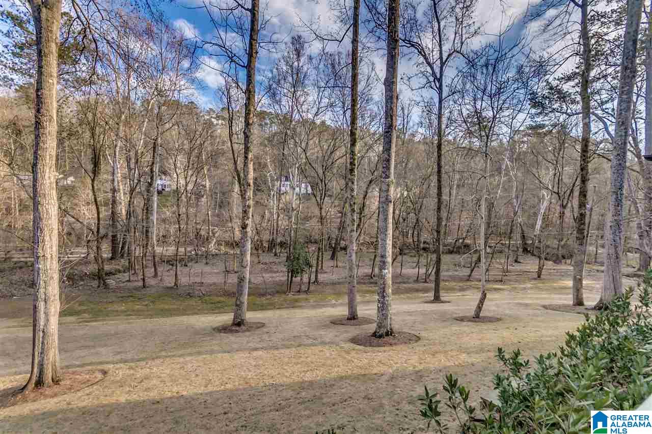 23 Pine Ridge Lane Birmingham, AL 35213 - Photo 46 of 50