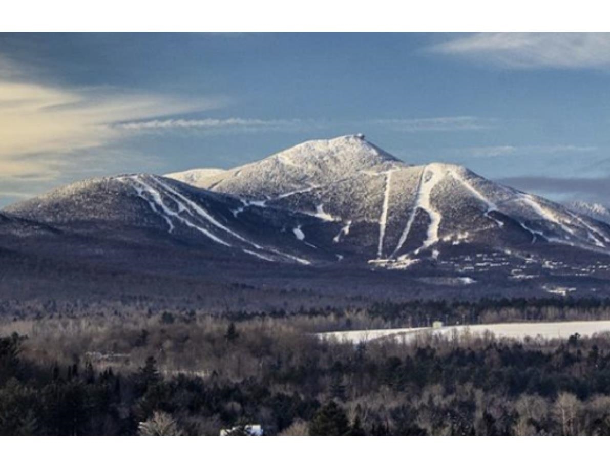 314 Slopeside Road, Unit 3006 Jay, VT 05859 - Photo 1 of 31