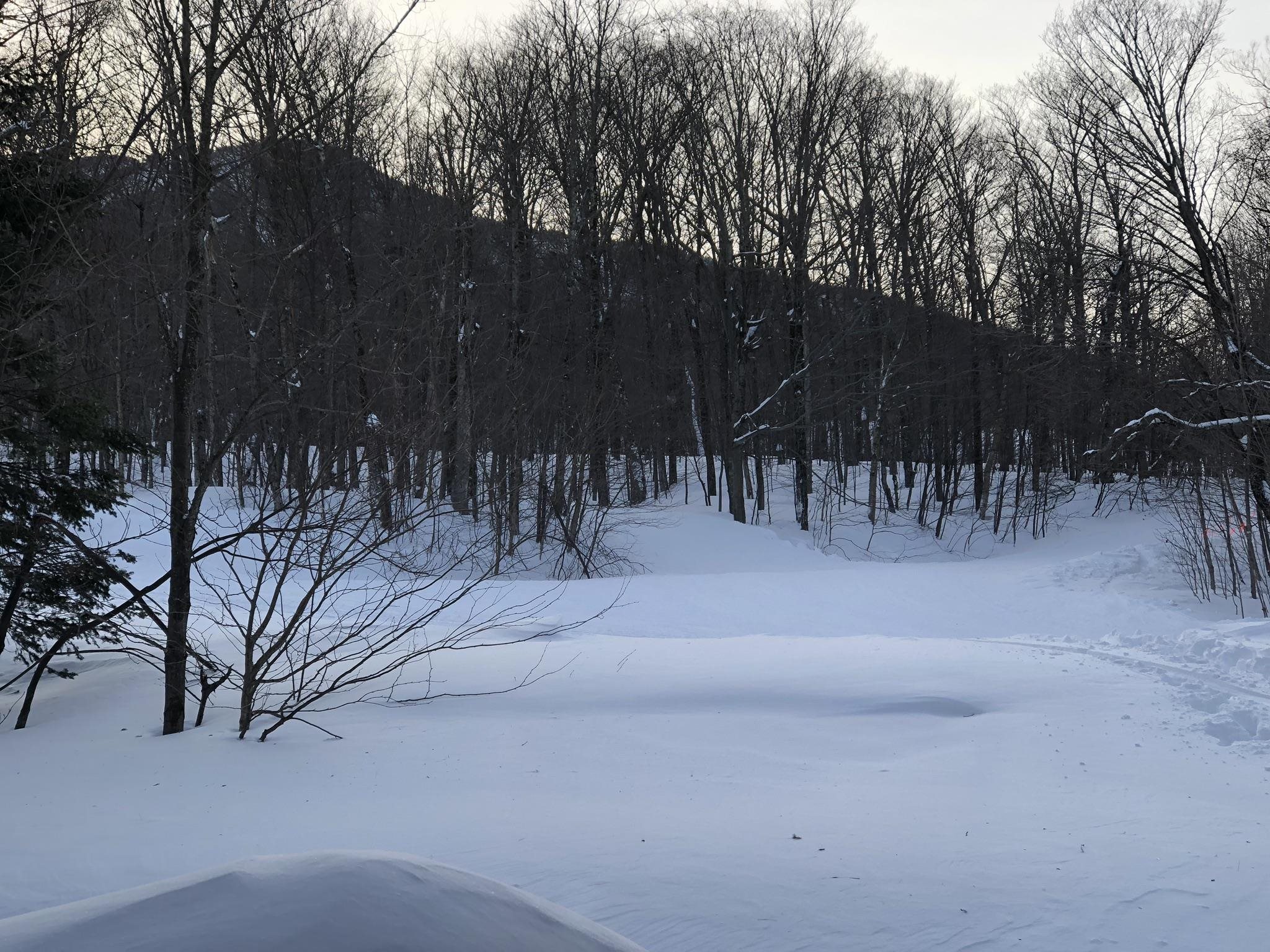 314 Slopeside Road, Unit 3006 Jay, VT 05859 - Photo 12 of 31