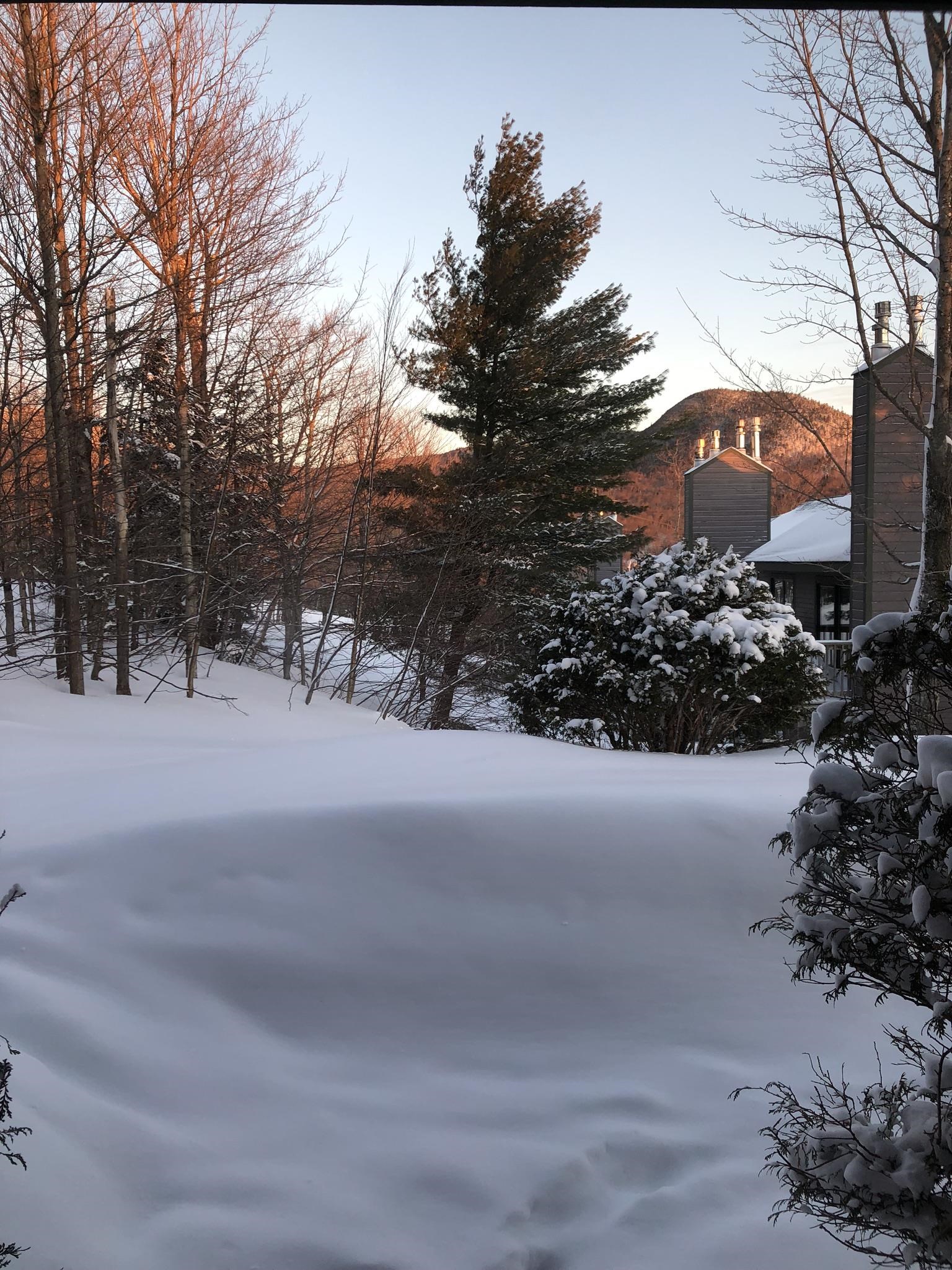 314 Slopeside Road, Unit 3006 Jay, VT 05859 - Photo 14 of 31