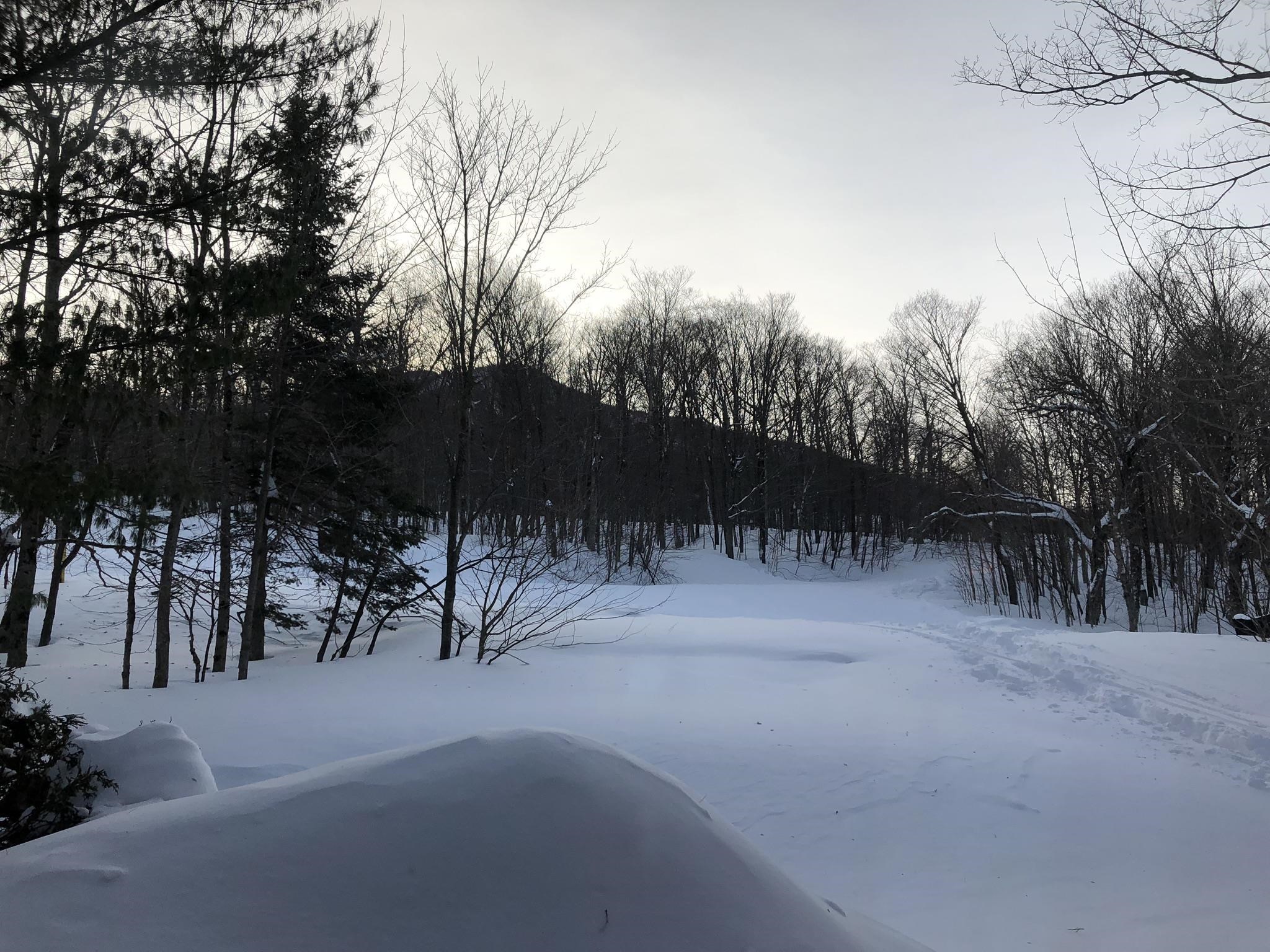 314 Slopeside Road, Unit 3006 Jay, VT 05859 - Photo 31 of 31