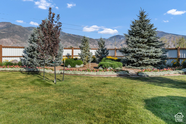 1103 North Brooklyn Road Monroe, UT 84754 - Photo 50 of 78