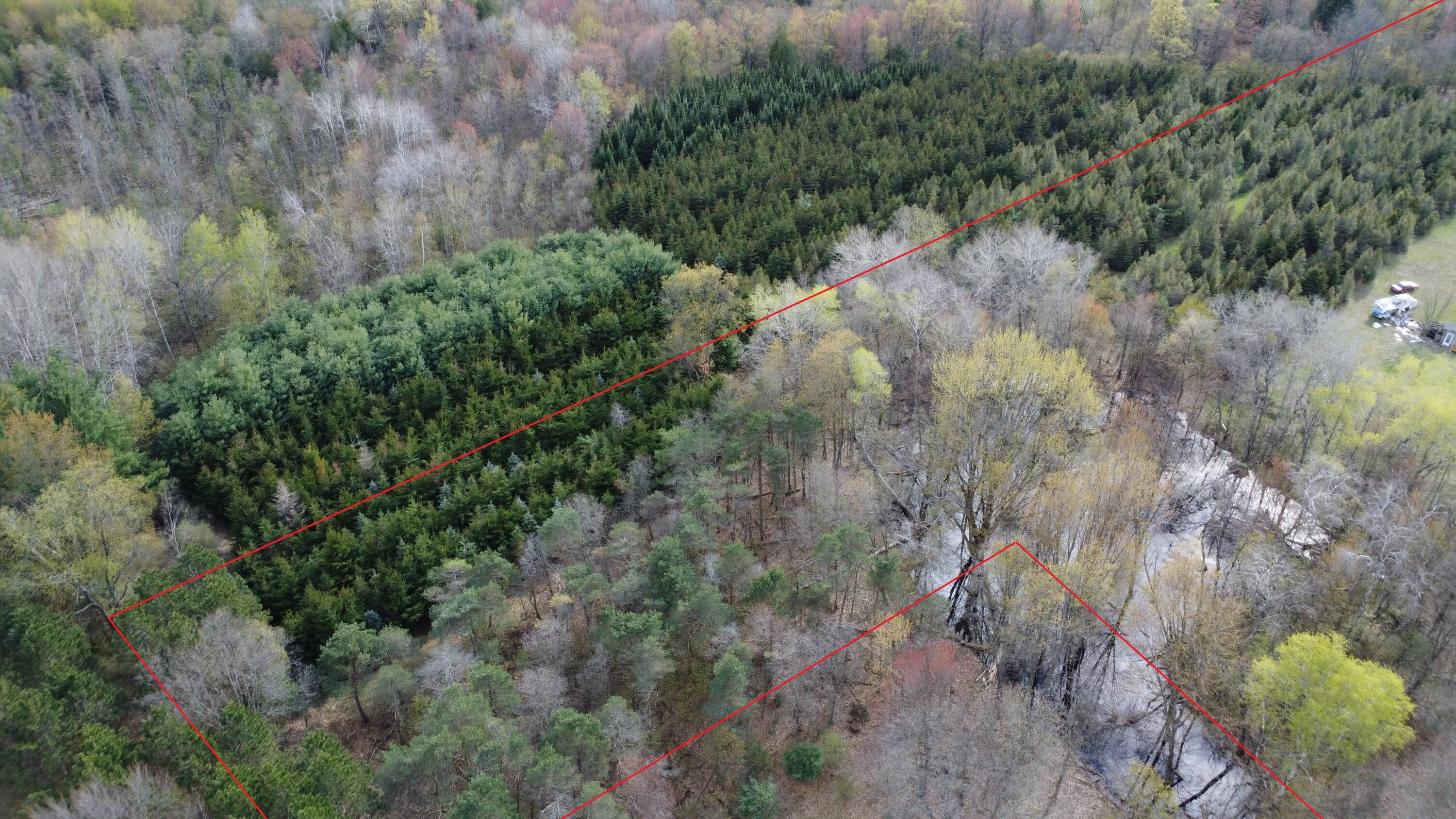 6455 East Rossell Lake Road Walkerville, MI 49459 - Photo 10 of 15 DJI_0062