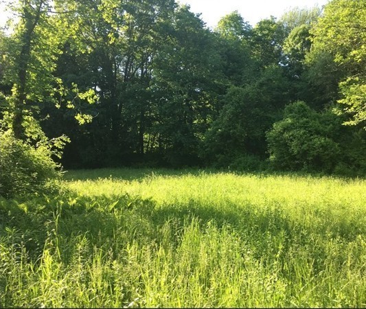 Lot 12 Jackson Road Hardwick, MA 01037 - Photo 7 of 20 Gallery Image 7