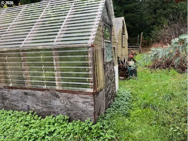a view of a backyard with plants