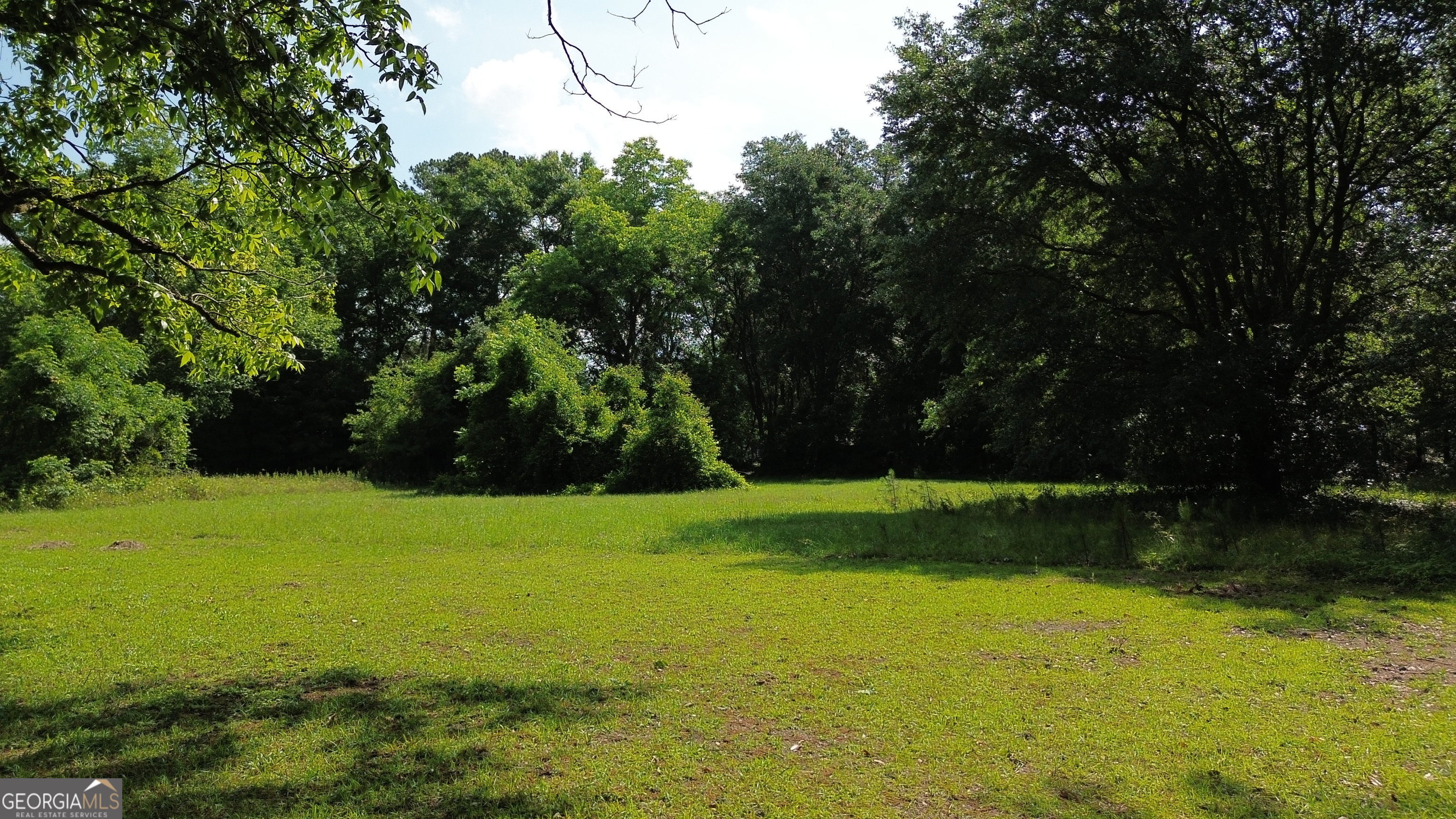 959 Lovers Lane Road Leesburg, GA 31763 - Photo 17 of 19 a view of outdoor space and yard